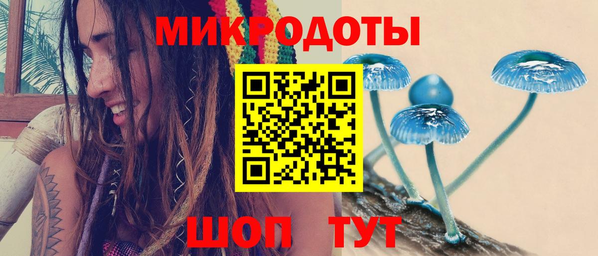 Галлюциногенные грибы прущие грибы Новочебоксарск